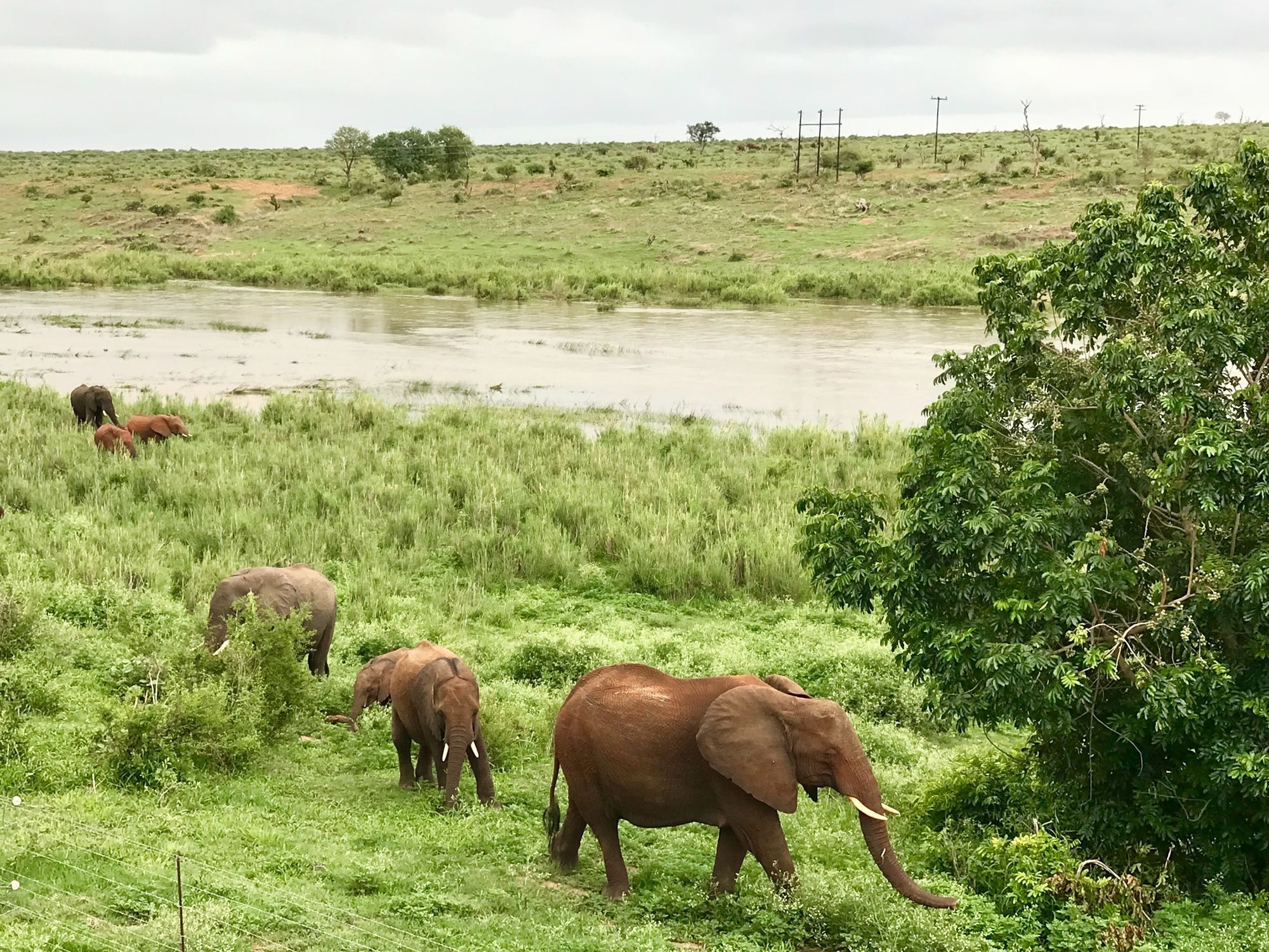 Elephant Walk Retreat Komatipoort Εξωτερικό φωτογραφία