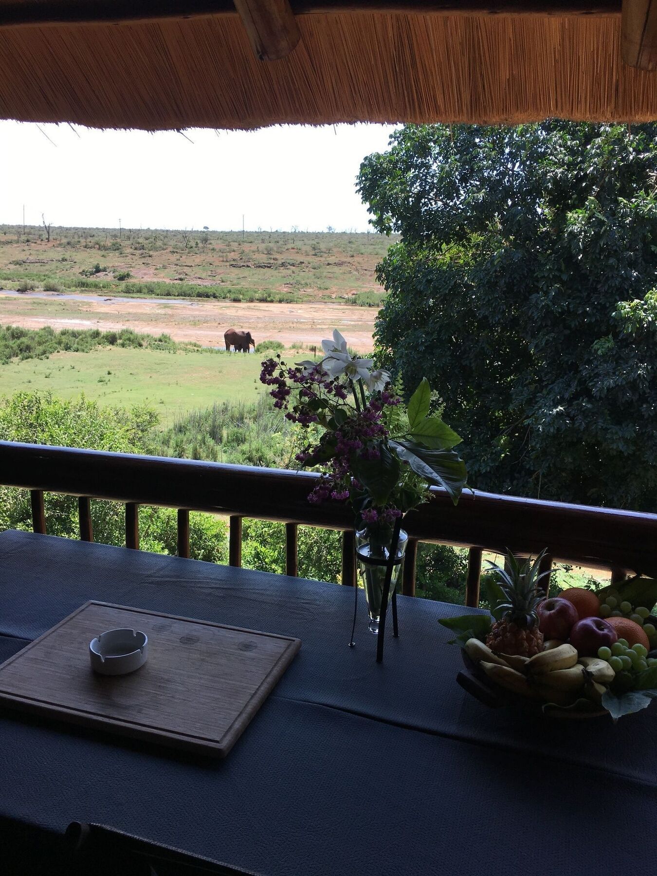 Elephant Walk Retreat Komatipoort Εξωτερικό φωτογραφία