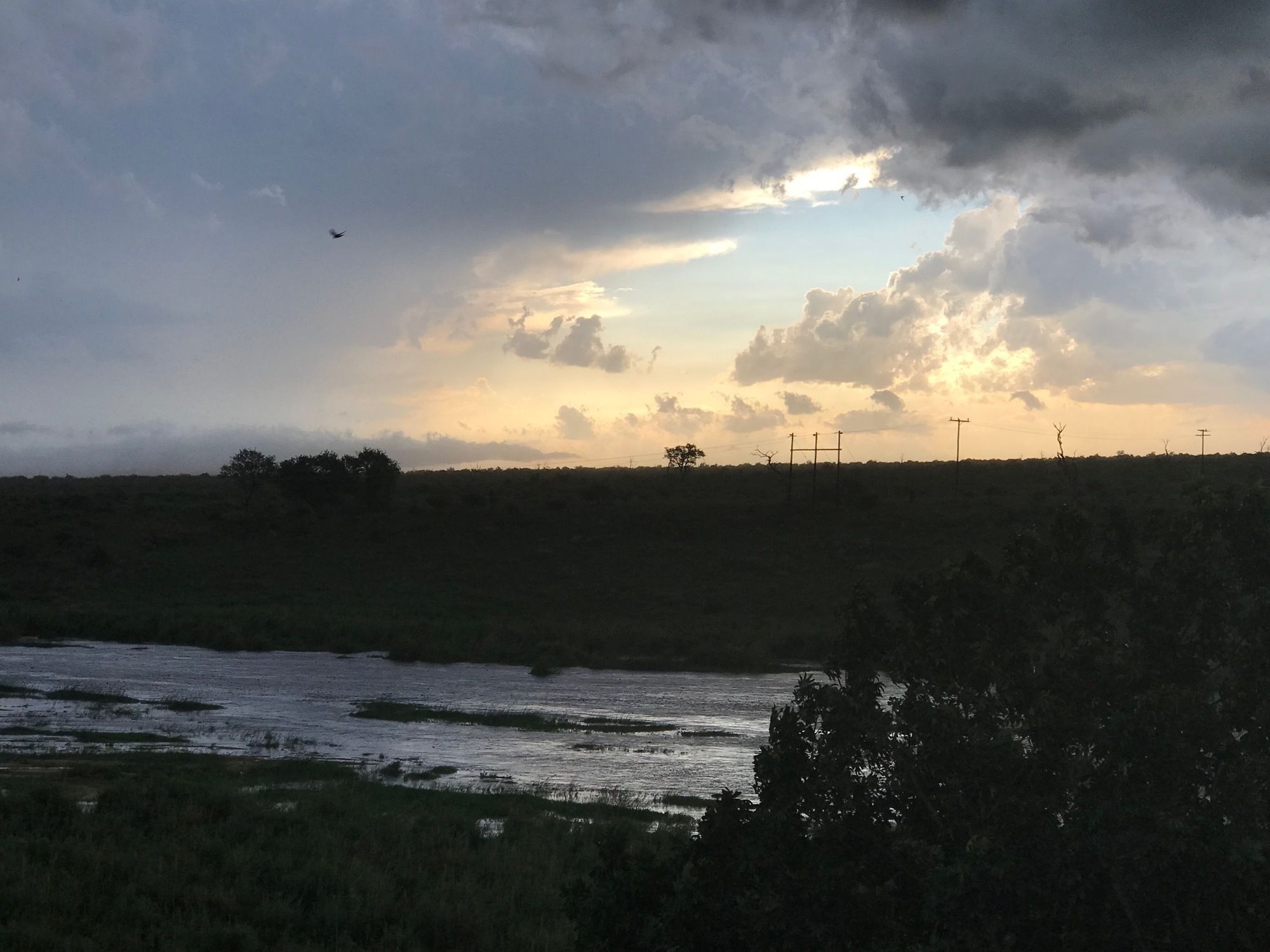 Elephant Walk Retreat Komatipoort Εξωτερικό φωτογραφία
